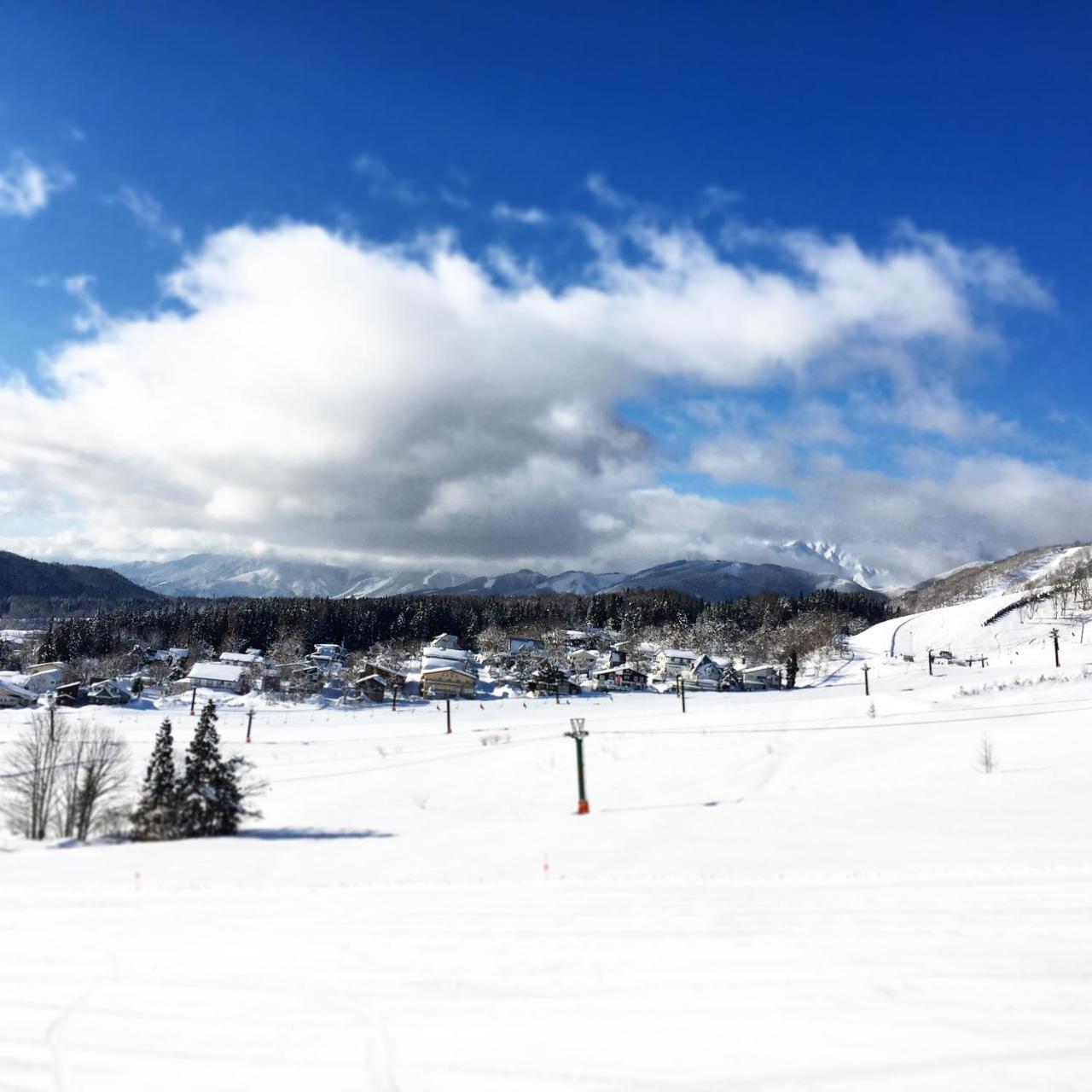 小谷村 Hakuba Cortina Backpackers旅舍 外观 照片