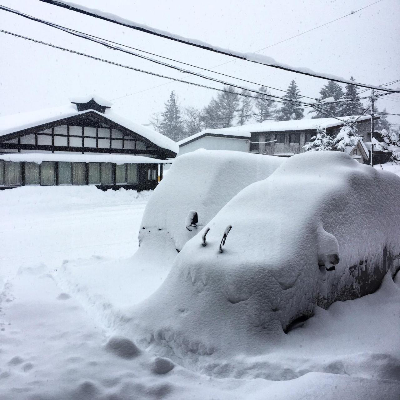 小谷村 Hakuba Cortina Backpackers旅舍 外观 照片