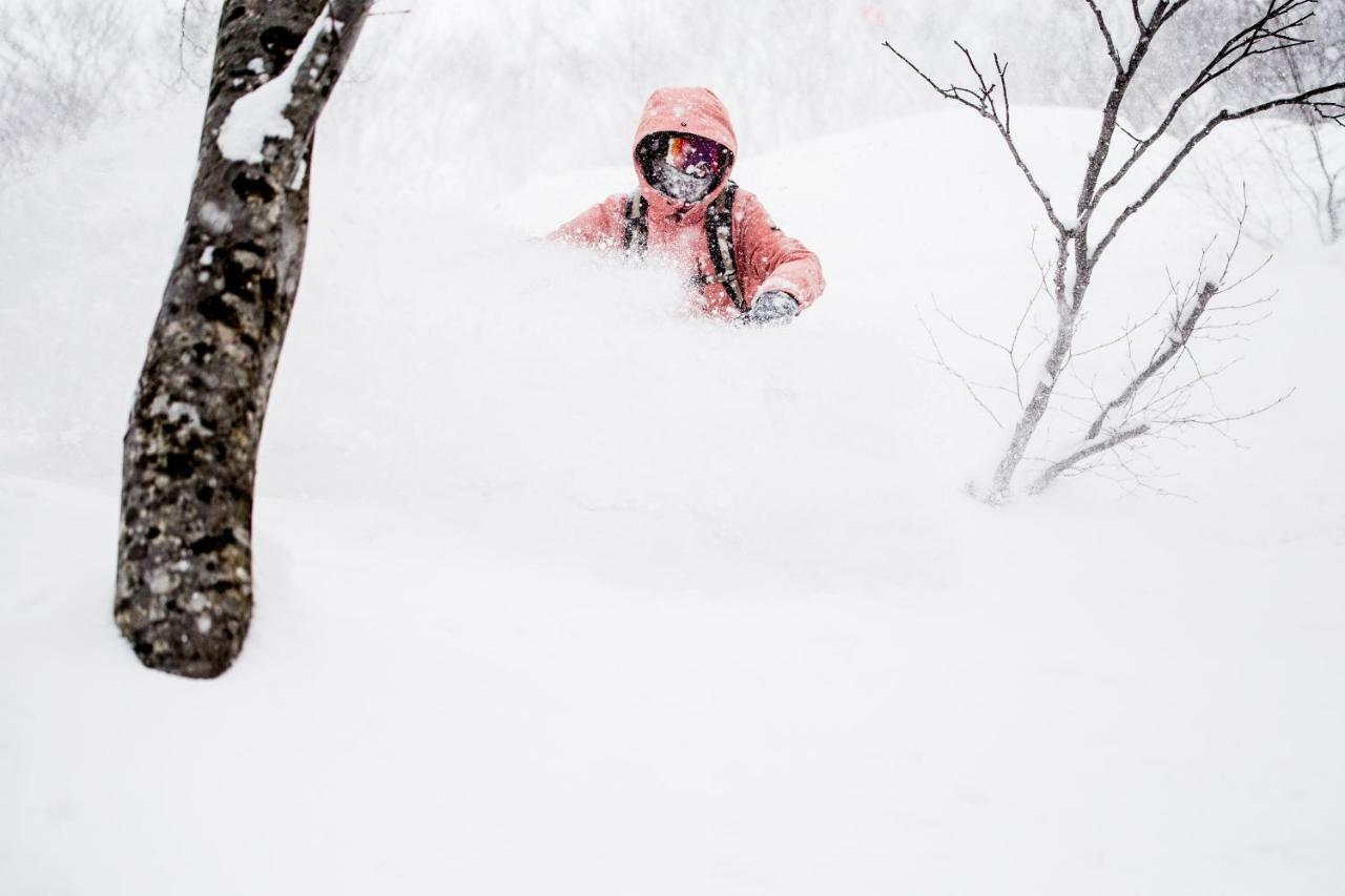 小谷村 Hakuba Cortina Backpackers旅舍 外观 照片