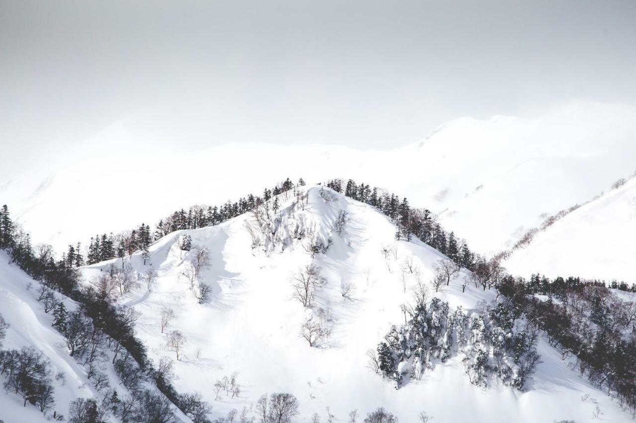 小谷村 Hakuba Cortina Backpackers旅舍 外观 照片